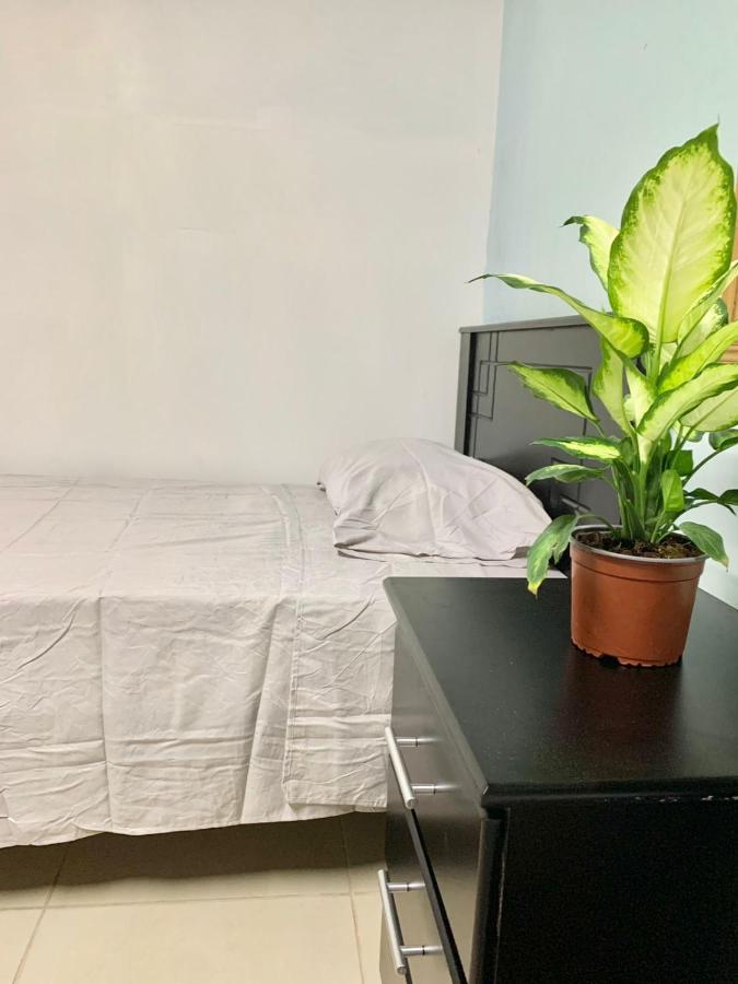 Global House Cr Hostel Backpackers Alajuela Habitacion Compartida 2 Camas Por Habitacion المظهر الخارجي الصورة